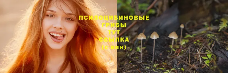 Галлюциногенные грибы MAGIC MUSHROOMS  ОМГ ОМГ сайт  Гагарин 