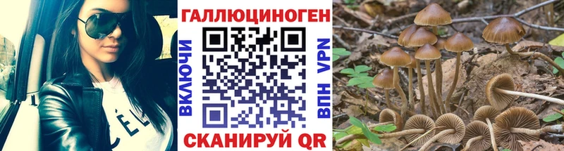 закладки  Гагарин  Псилоцибиновые грибы MAGIC MUSHROOMS 
