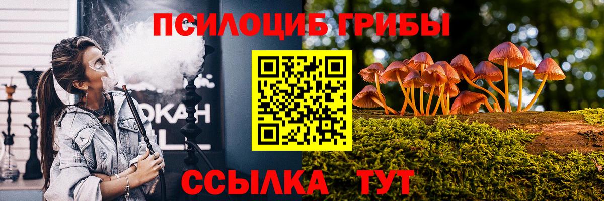 Галлюциногенные грибы MAGIC MUSHROOMS  Галлюциногенные грибы MAGIC MUSHROOMS  Вход с VPN  наркота  Гагарин 
